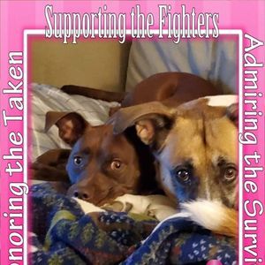 Meet your Posher, Carrie